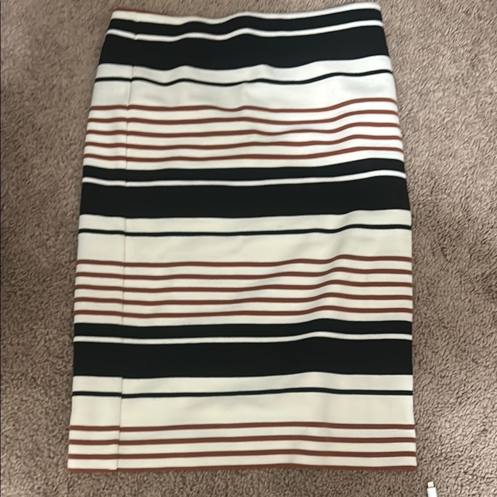Striped Black and Brown Skirt